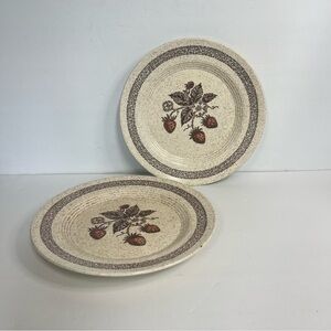vtg 70s strawberry speckled brown tan 10 inch plate‎ set of 2 country cottage